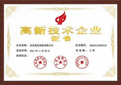 江蘇省高新技術(shù)企業(yè)